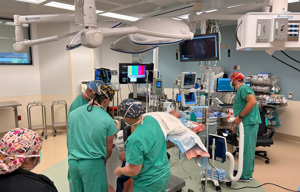 Neuroscience & Developmental Biology Cluster