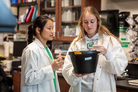 Medical Student Research