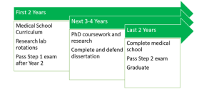 Image of Overview of MD/PhD program